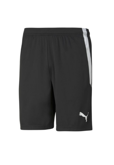 teamLIGA Shorts Børn